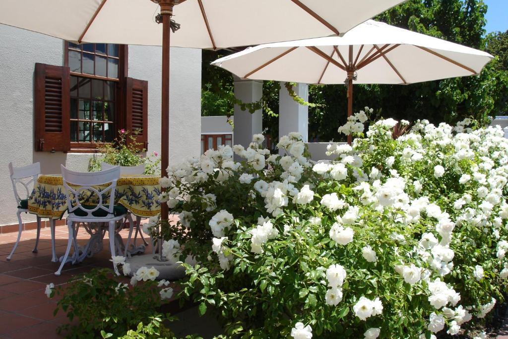 קייפטאון Glen Avon Lodge Boutique Hotel מראה חיצוני תמונה